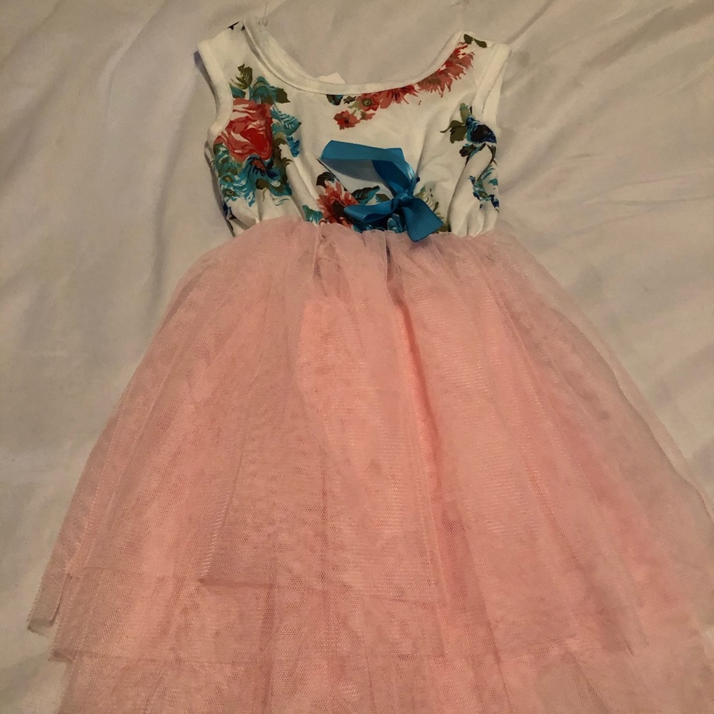 NWT Floral & Pink Tulle Party Dress